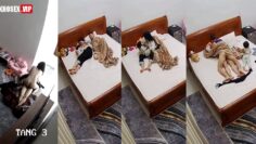 hack-camera-gai-mot-con-dang-cho-con-bu-thi-chong-trum-men-dit-phan-1.jpg